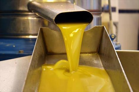 Agroinformacion.com28112014_121933