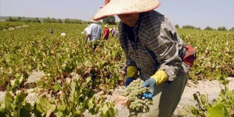 Agroinformacion.com14012015_153434