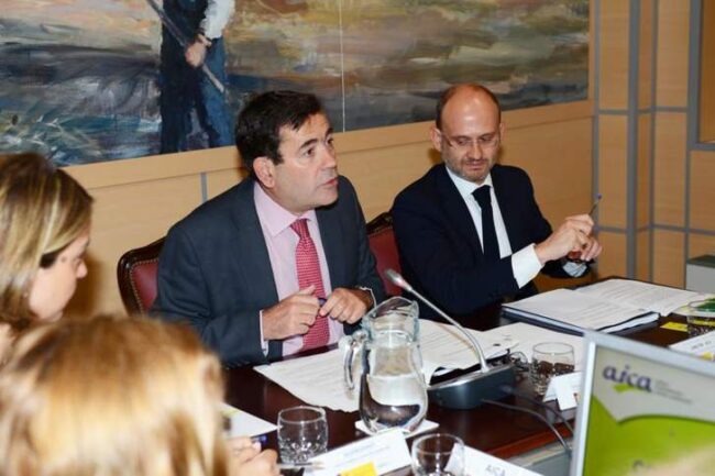 reunionaicabalanceactuaciones1_tcm7-382582_850x566