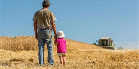 Agroinformacion.com14062015_95313