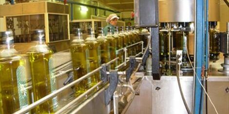 Agroinformacion.com19062015_120027