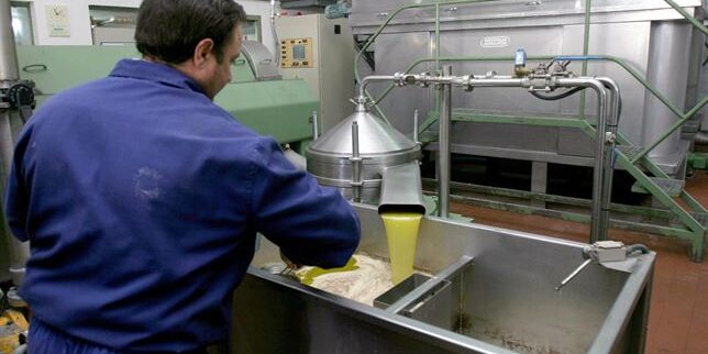 fotonoticia_20150725110636_644