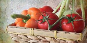 hortalizas-cesta-bodegón
