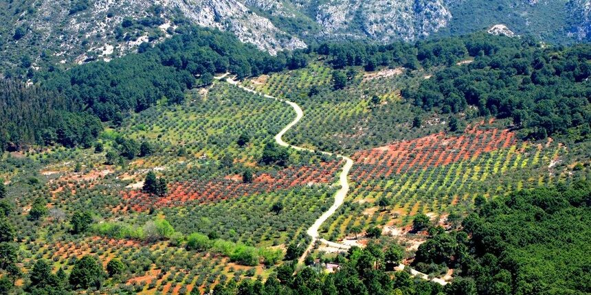 Serrania-de-Ronda-Malaga
