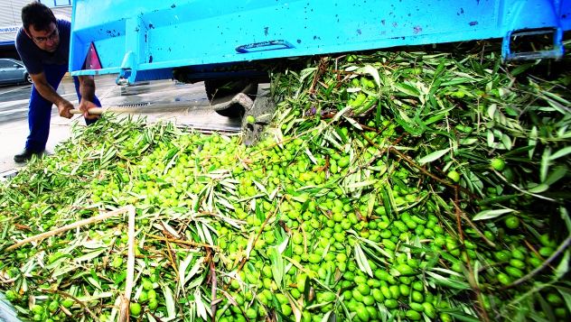 d59187c605bc80b3b6bbb71902d471cc_L