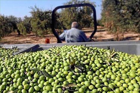 Agroinformacion.com15012016_125919