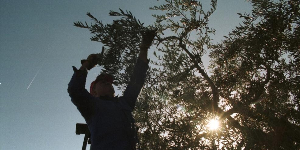 LAVANGUARDIA_G_3666981-koxF–992×558@LaVanguardia-Web