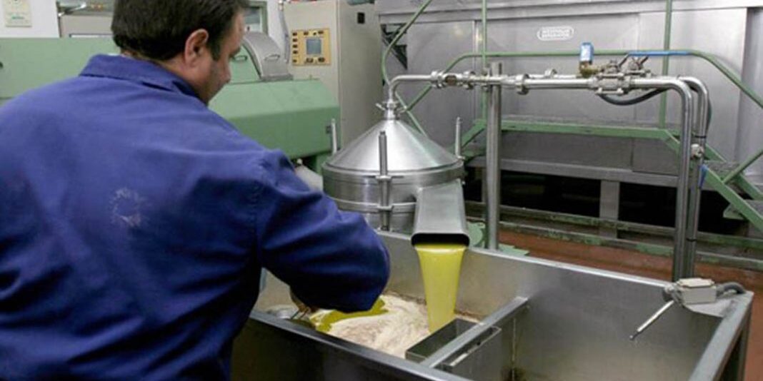 ENLACE-DE-CAMPAÑA-INFAOLIVA