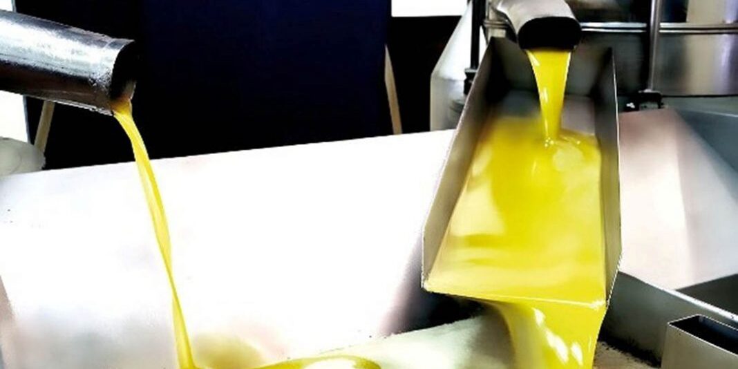 CAMPAÑA-OLIVARERA-STOCK