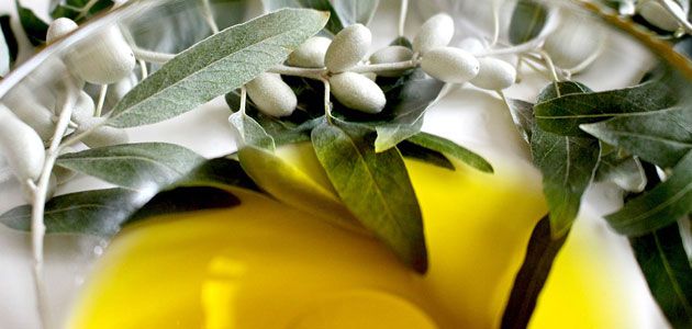 4_2_219_platoaceitehojasaceitunas