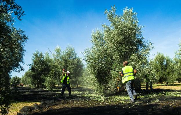 118774152–624×398