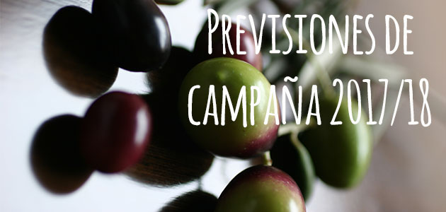 previsiones1718
