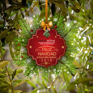 NAVIDAD CENTROLIVA 2018-01