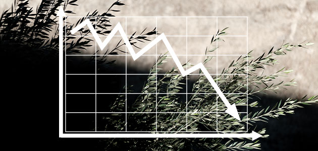 precios_aceitedeoliva