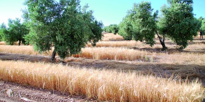 image_content_13248269_20180330112359